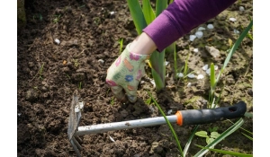 Przydatne narzędzia do prac ogrodowych