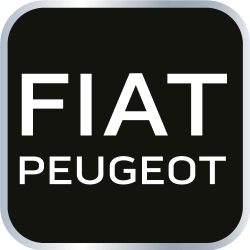 Zestaw blokad rozrządu do silników diesla Fiat/Peugeot NEO 11-325