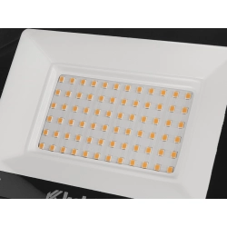 Naświetlacz LED 50W - barwa biała zimna 6500K (50)